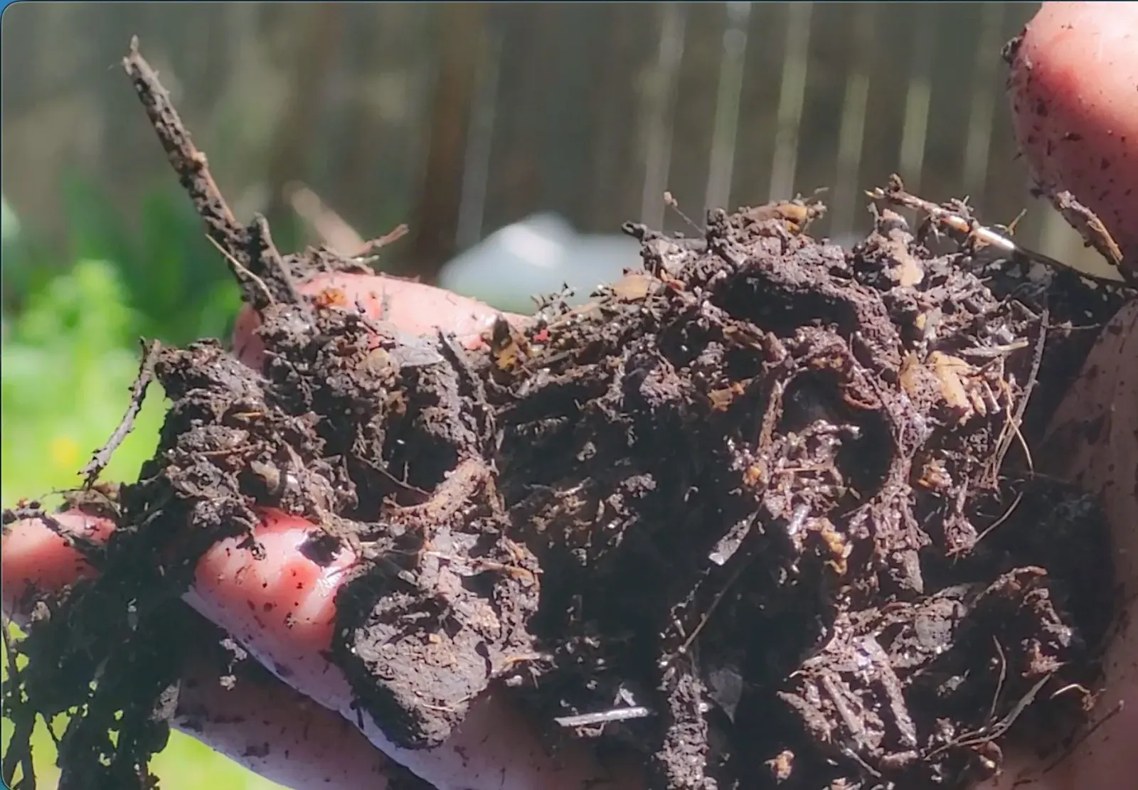 Pre-Order Inoculation Grade Compost