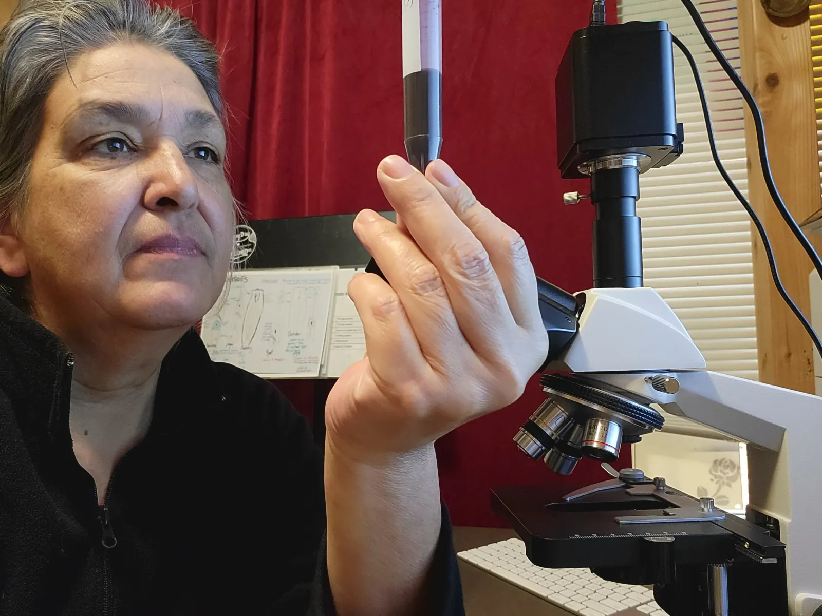 Microorganism Health Check
