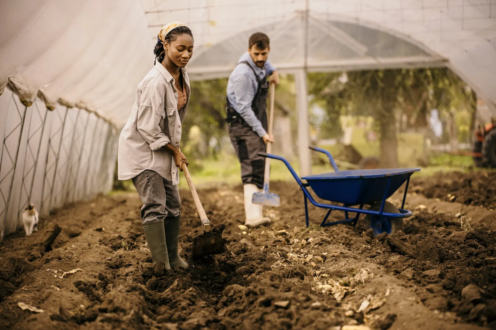 Pro-Garden Soil Health Membership